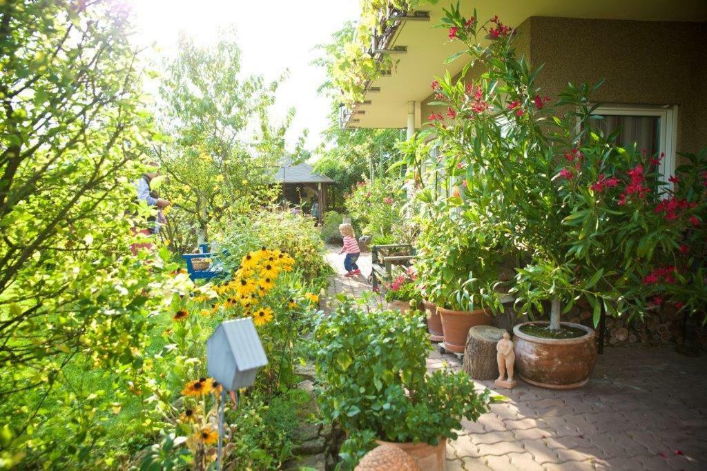 Ferienwohnung Dr. Vera Schmidt Kreischa Luaran gambar
