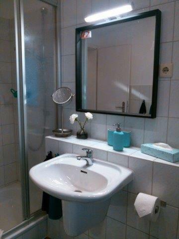 Ferienwohnung Dr. Vera Schmidt Kreischa Luaran gambar